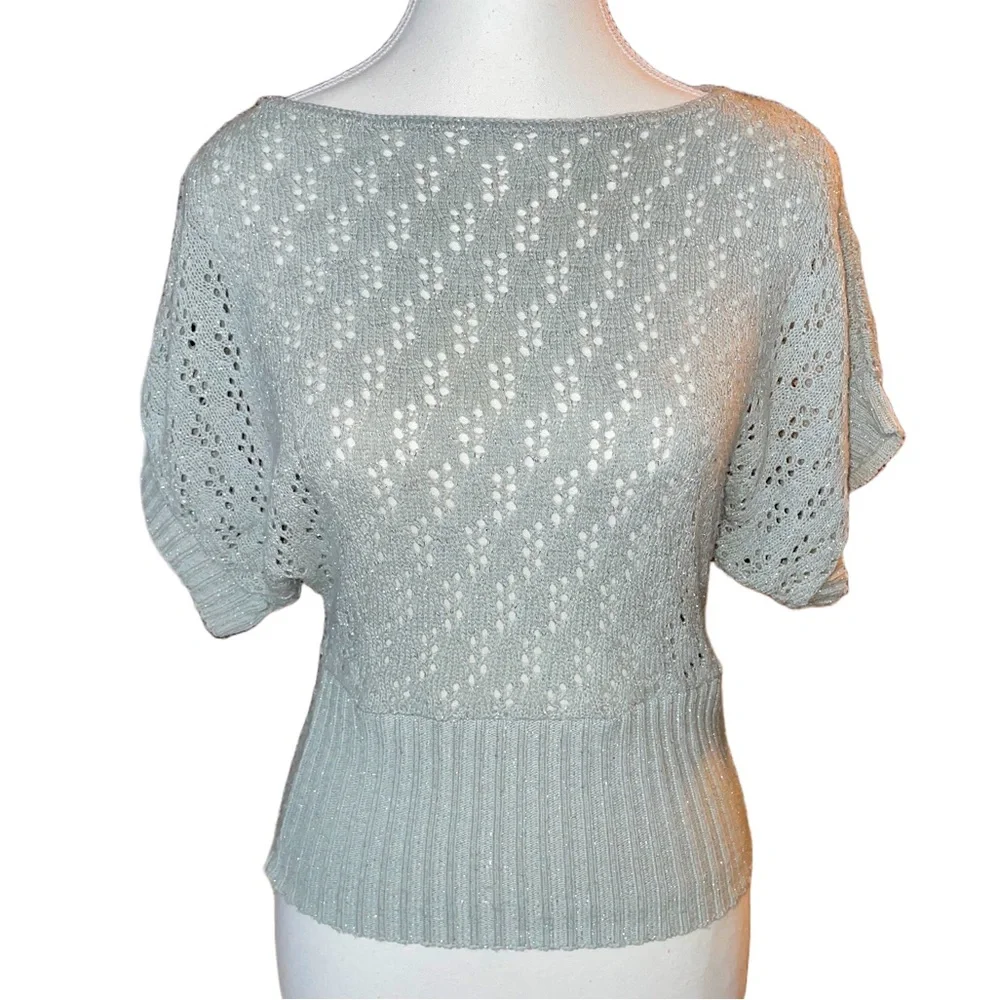 Silver Sparkly Boatneck Sweater